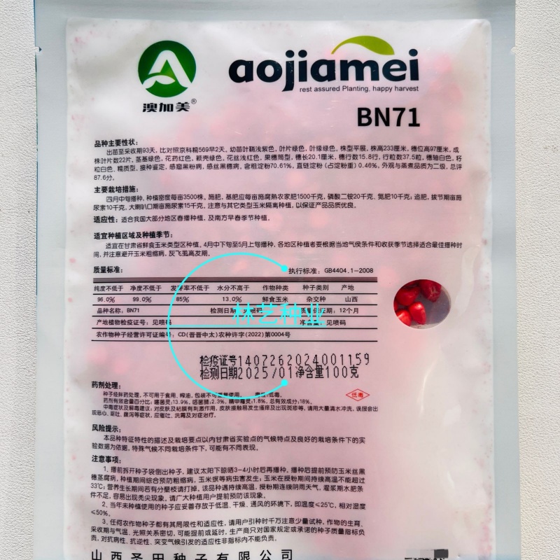 BN71甘审玉白甜糯玉米种子早熟大棒甘蔗甜糯型优质高产