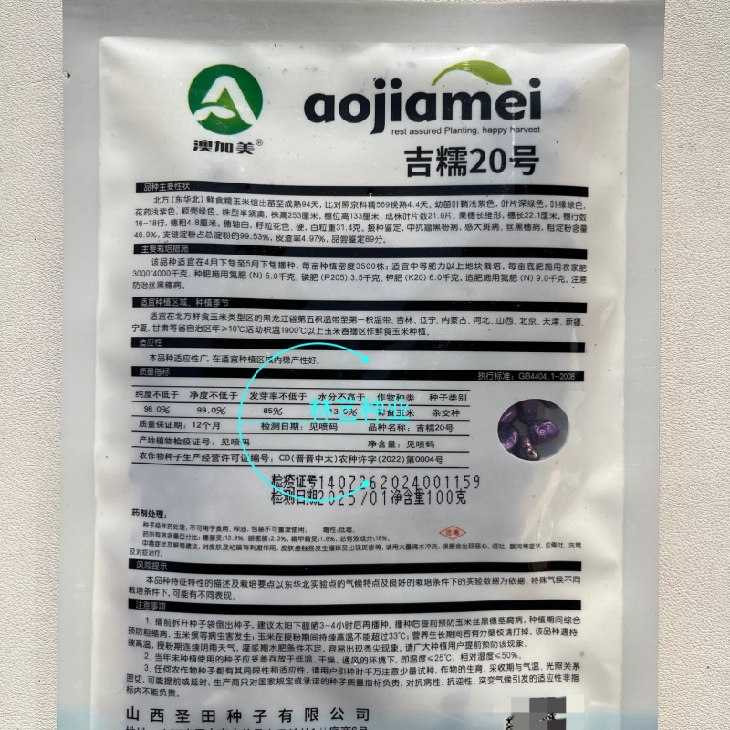 吉糯20号彩甜糯玉米种子大棒糯味甜皮薄无渣玉米