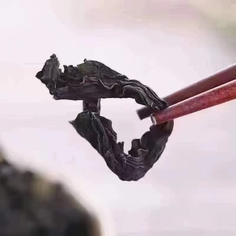 裙带菜
