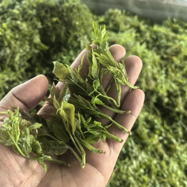 张家界高山莓茶厂地代收代发价格保证**