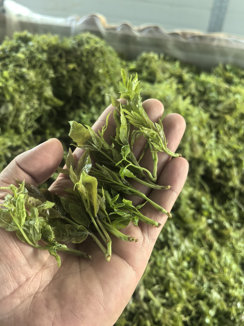张家界高山莓茶厂地代收代发价格保证**