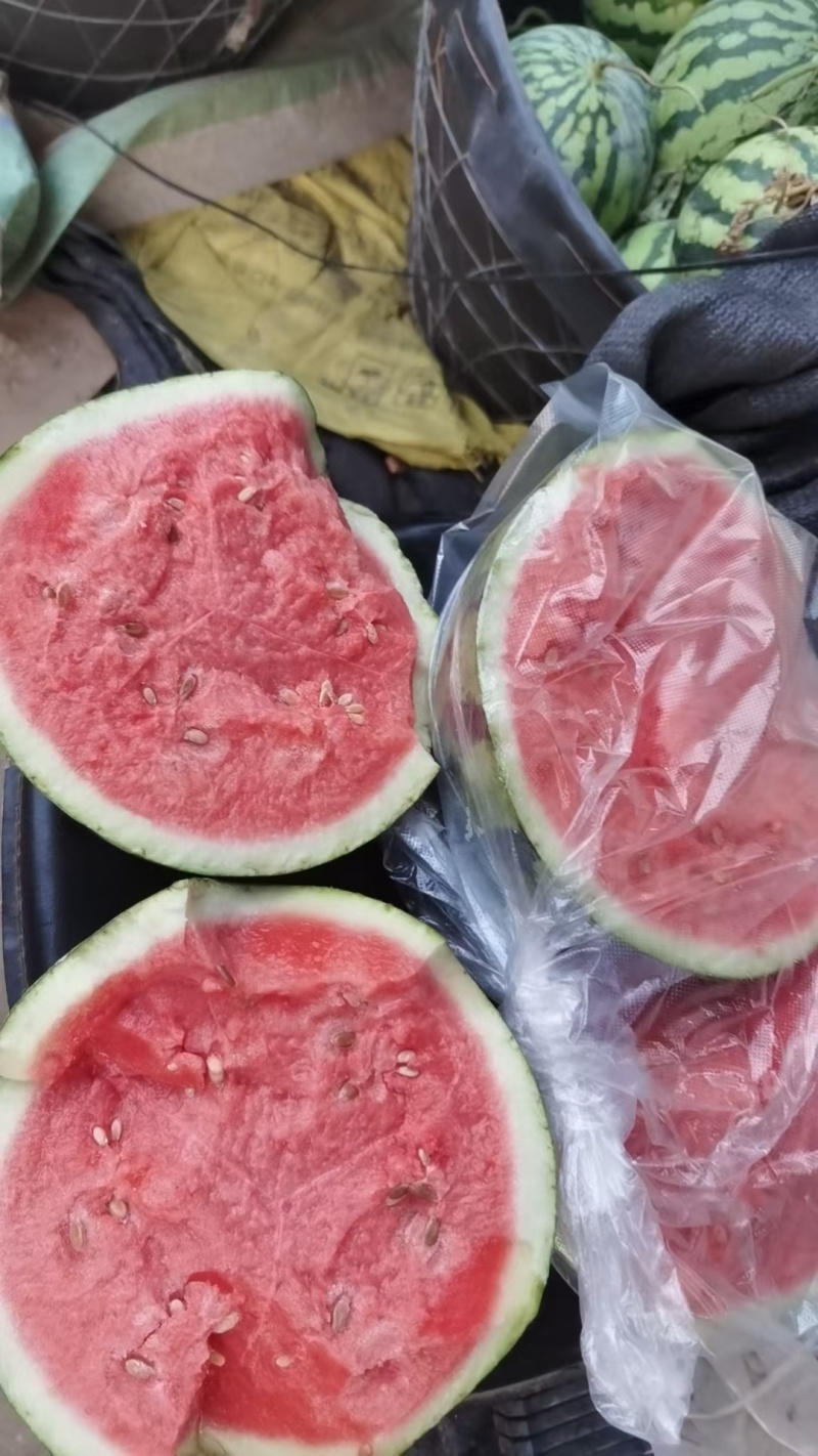河南上蔡头茬精品无籽美都西瓜！糖度高！水分足！