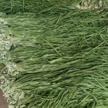莴笋条，自然风干，口感爽脆，原汁原味的绿色食品，欢迎来电