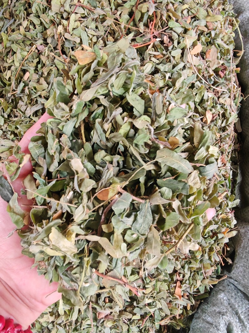 鸡骨草