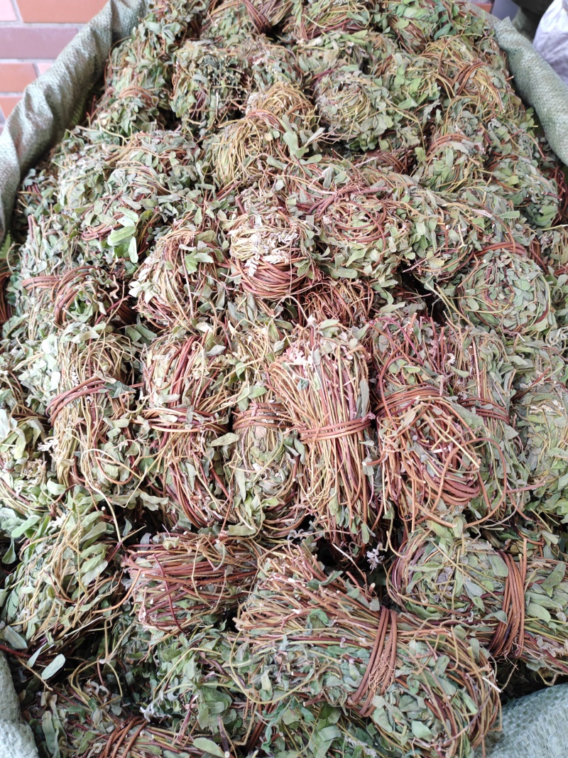 鸡骨草
