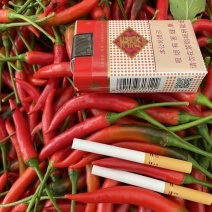 云南广东广西精品小米辣市场批发食堂配送电商优选
