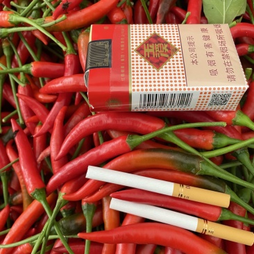 云南广东广西精品小米辣市场批发食堂配送电商优选