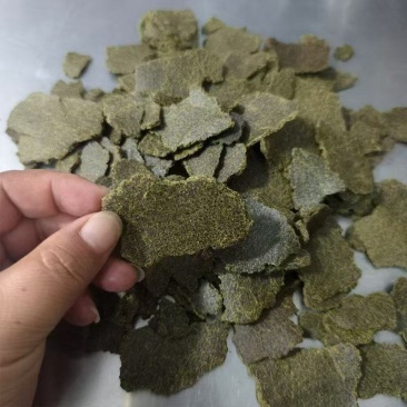 油坊生榨油枯，青枯