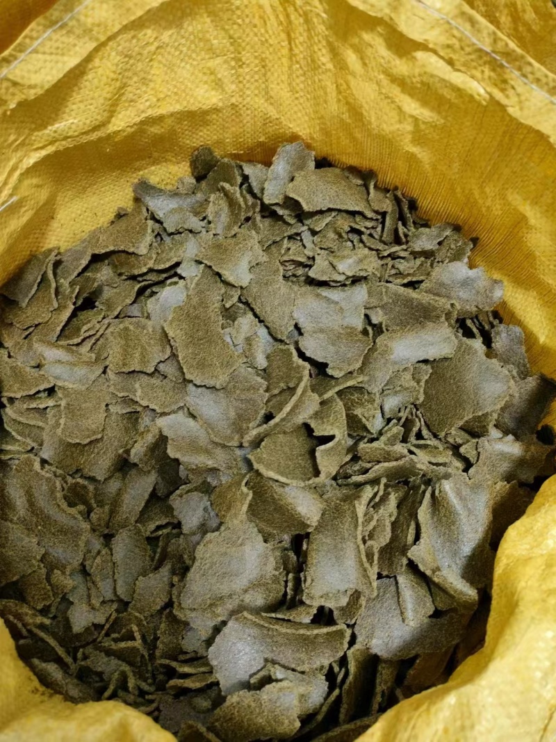 油坊生榨油枯，青枯