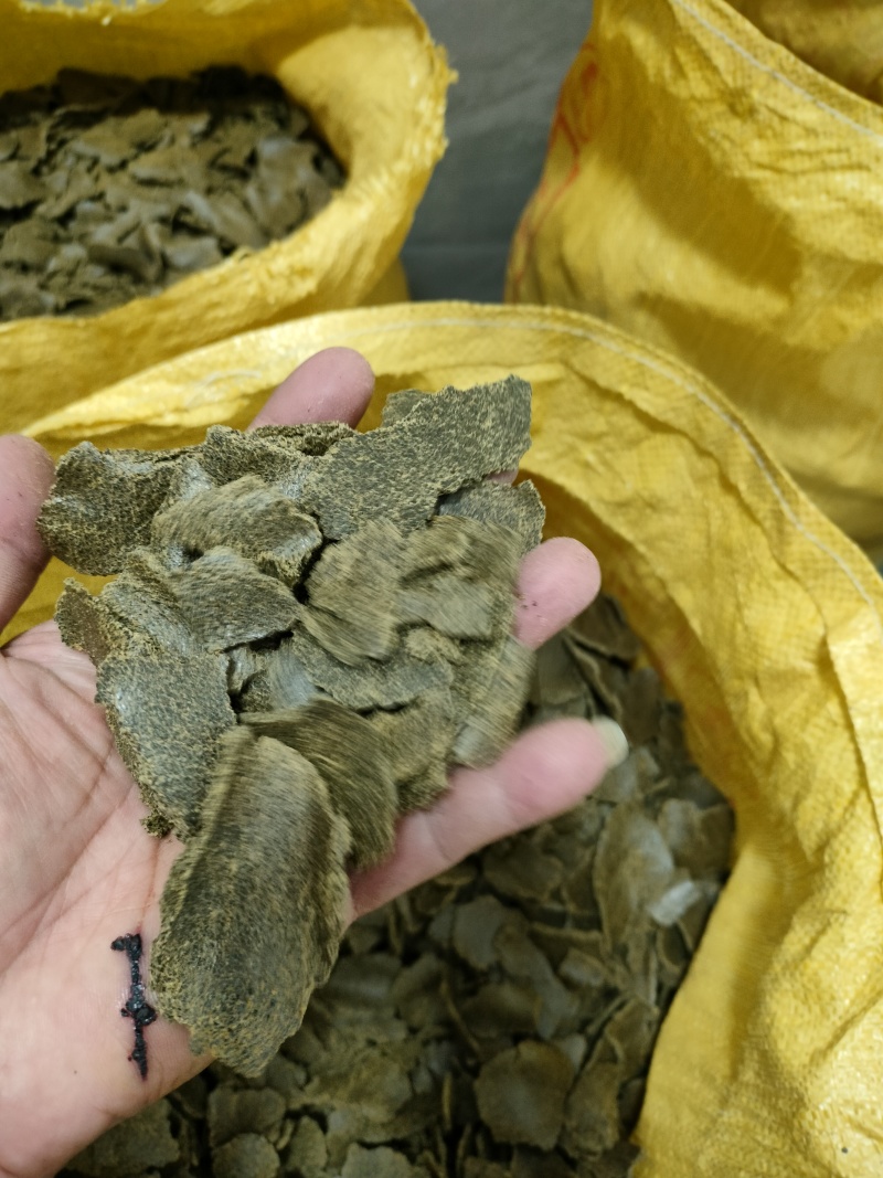 油坊生榨油枯，青枯