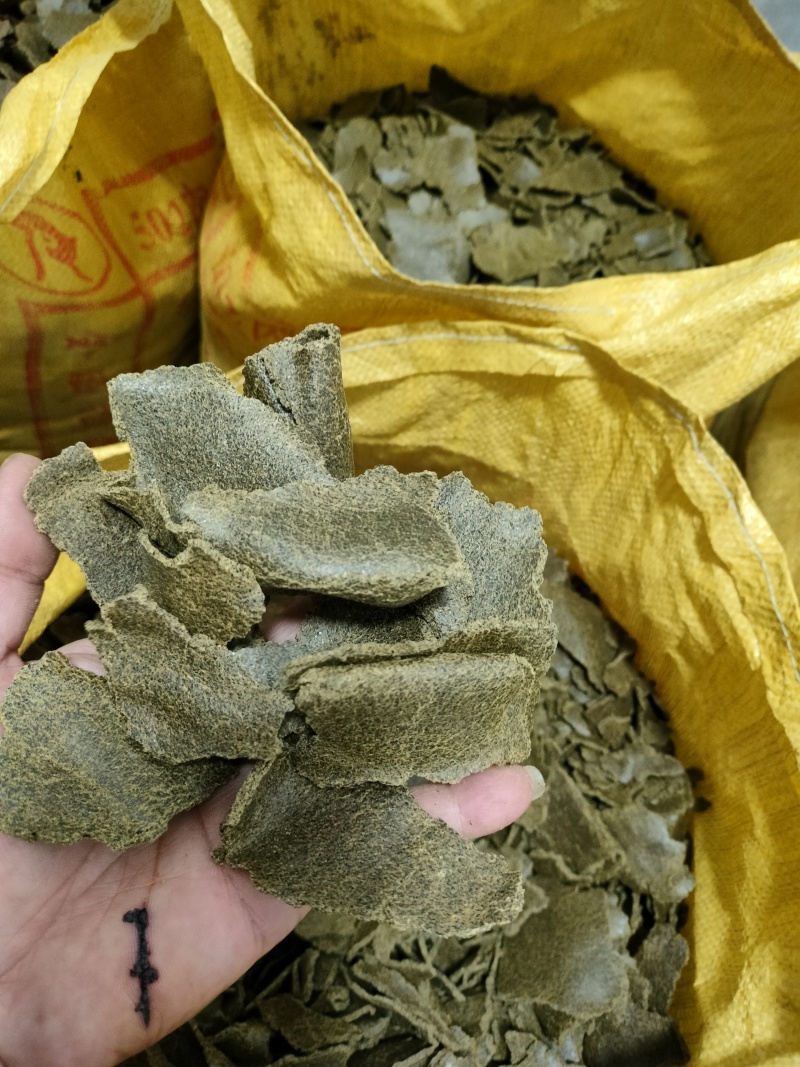 油坊生榨油枯，青枯