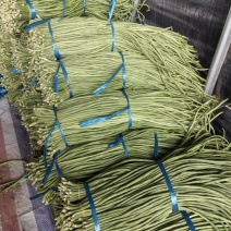 精品电商货，工厂，市场，电商，大量有货