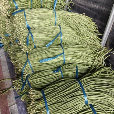 精品电商货，工厂，市场，电商，大量有货