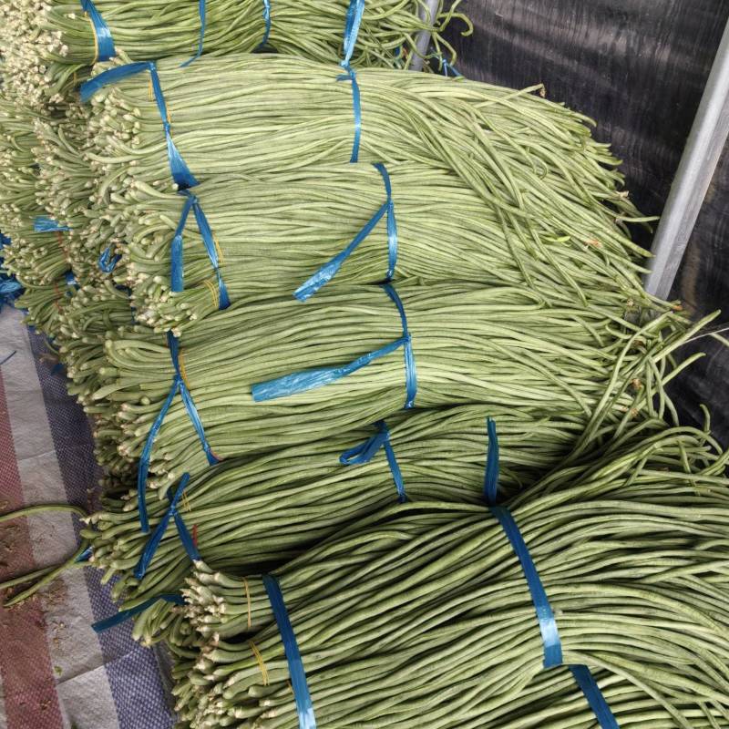 精品电商货，工厂，市场，电商，大量有货