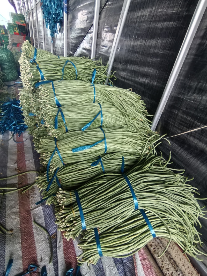 精品电商货，工厂，市场，电商，大量有货