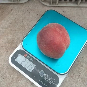 红不软