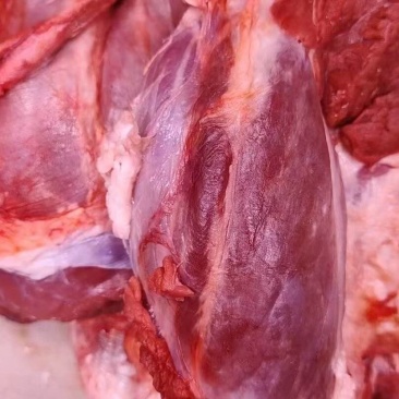原切牛分割肉，部位肉，当天新鲜屠宰，