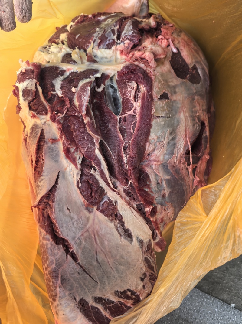 原切牛分割肉，部位肉，当天新鲜屠宰，
