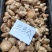 新鲜香菇源头批发4.2整车起订冷链直达全国