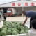精品美都西瓜货源充足量大从优质量保证对接全国市场