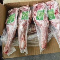 内蒙羔羊前腿