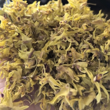 铁皮花
