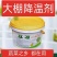 立凉降温剂厂家直供蔬菜温室大棚专用降温遮阳涂料耐水