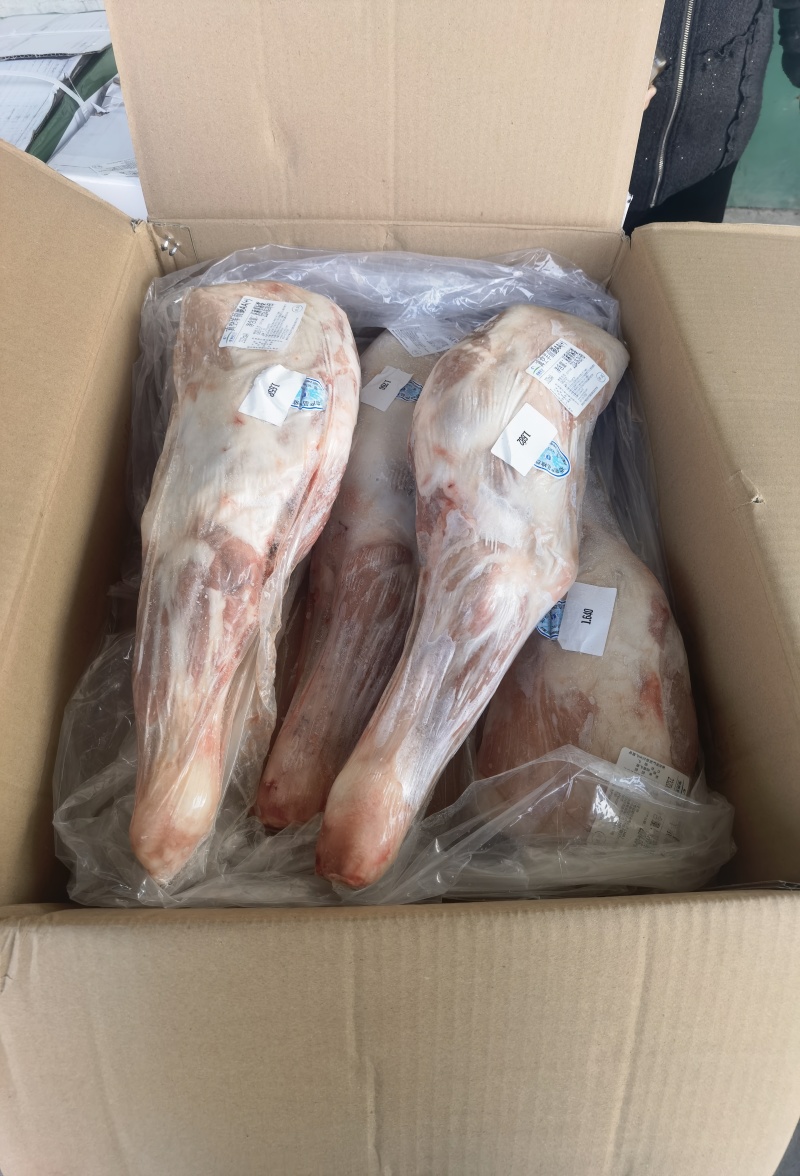 内蒙羔羊前腿