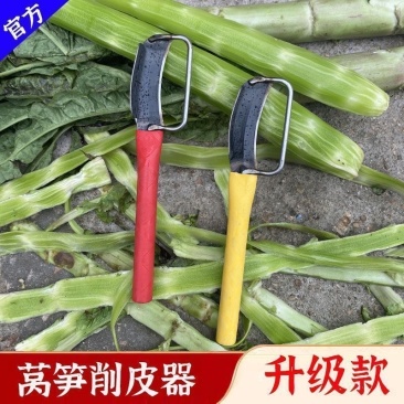 新品莴笋专用削皮刀莴苣削贡菜苔干刨莴笋去皮刀家用