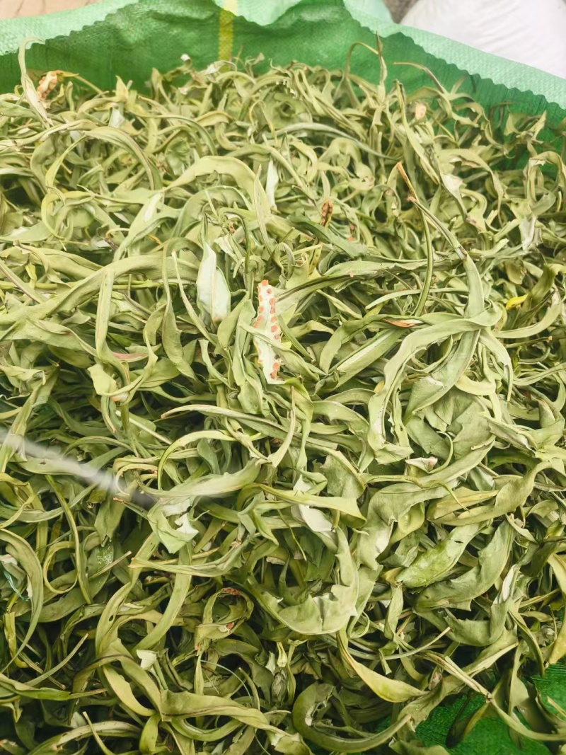 中叶化石草，60公斤现货