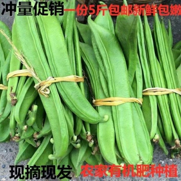 刀豆新鲜刀豆