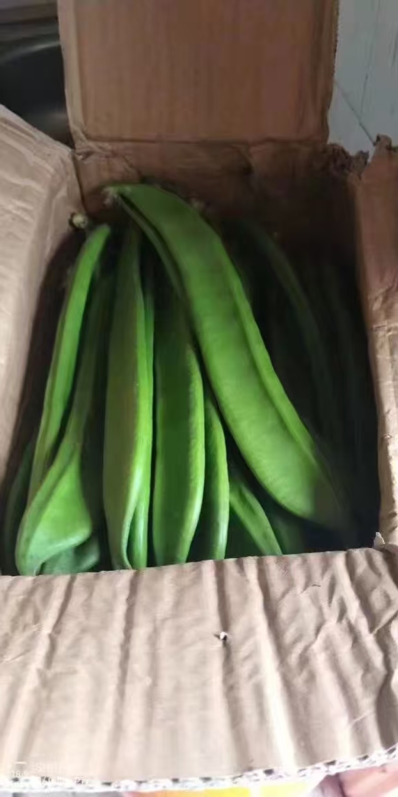 刀豆新鲜刀豆