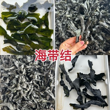 海带结干货凉拌海带结地摊展会批发海带干纯干海带结