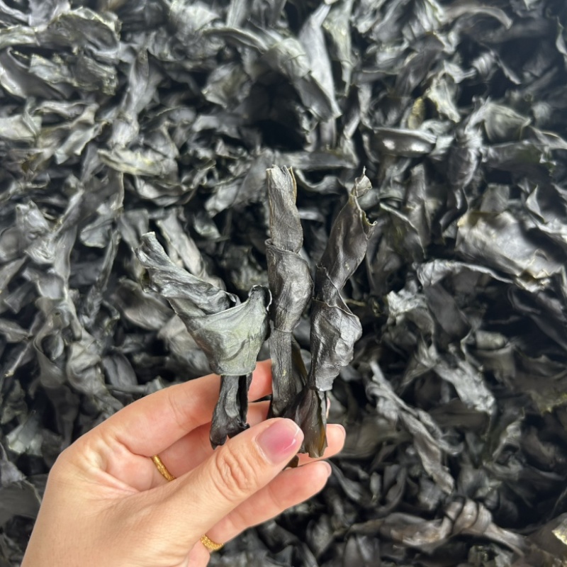 海带结干货凉拌海带结地摊展会批发海带干纯干海带结