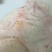 牛腩筋精修牛腩筋干缓干修无油烧烤季节的原配合作联系！