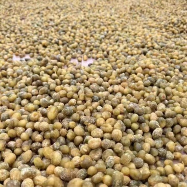 陈皮小春砂地摊电商批发陈皮小春砂爆浆春砂仁蜜饯