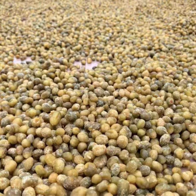 陈皮小春砂地摊电商批发陈皮小春砂爆浆春砂仁蜜饯