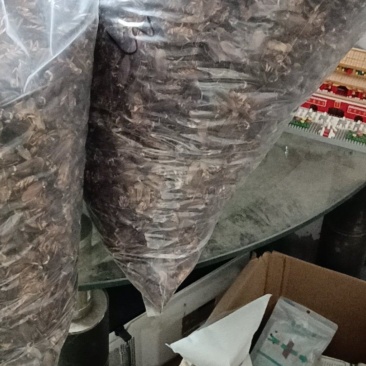 蟑螂干品，卵块