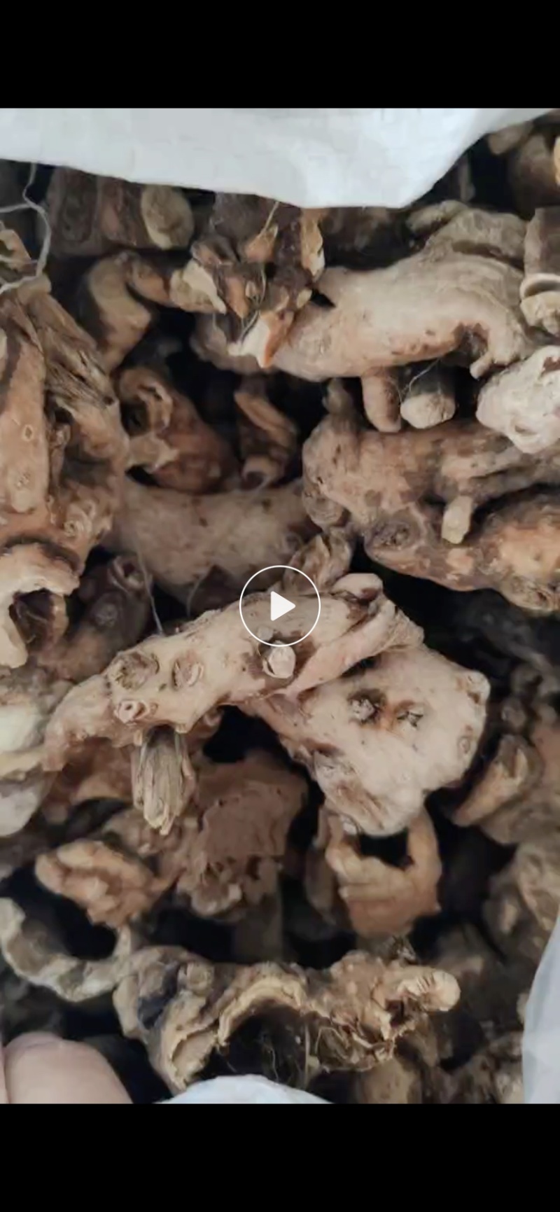 中药材白芍片狗头片小刀口无硫精品白芍片
