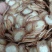 鹿角片，原产地发货，鹿负角，新鲜采摘，颜色好，大量供货