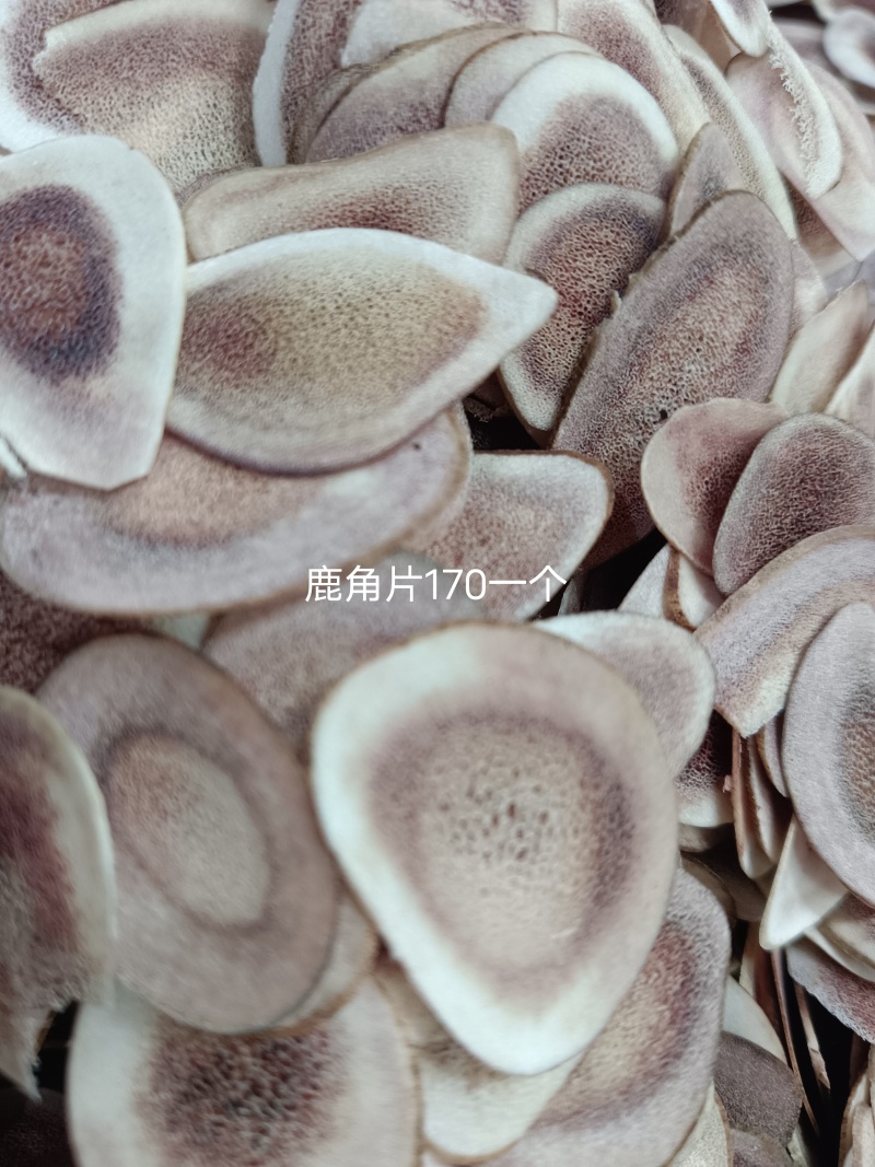 鹿角片，原产地发货，鹿负角，新鲜采摘，颜色好，大量供货