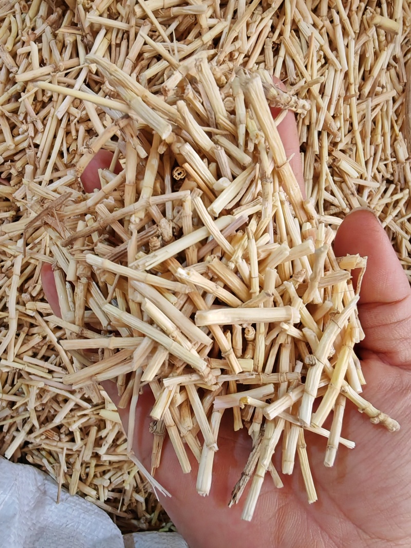 茅根
