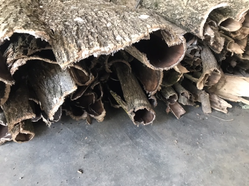 杜仲皮