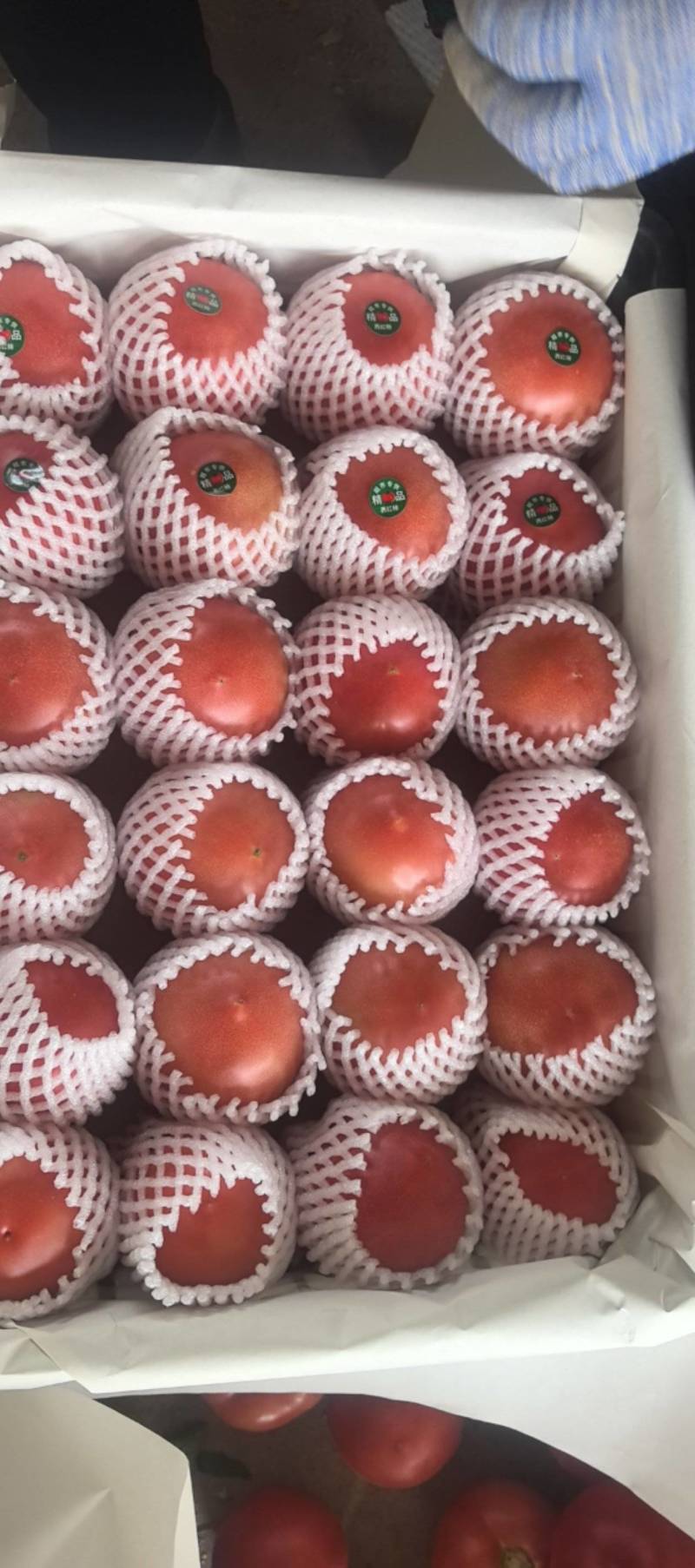 精品西红柿