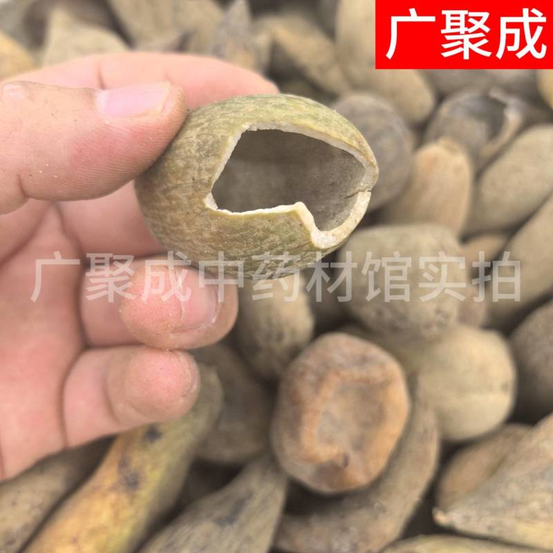 【包邮】五倍子干货独倍角倍菱角倍花倍元宝倍五倍子颗粒