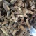 野生蒲公英根，可泡茶，原产地发货，自家炒制，可大量供货