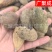 【包邮】五倍子干货独倍角倍菱角倍花倍元宝倍五倍子颗粒