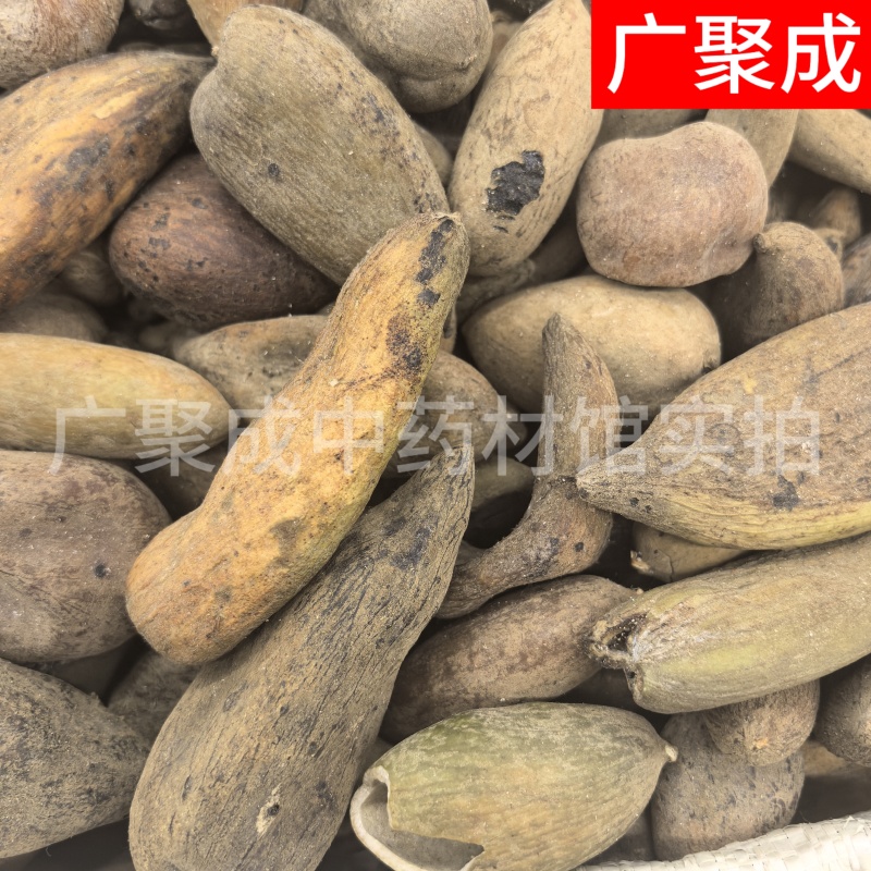 【包邮】五倍子干货独倍角倍菱角倍花倍元宝倍五倍子颗粒