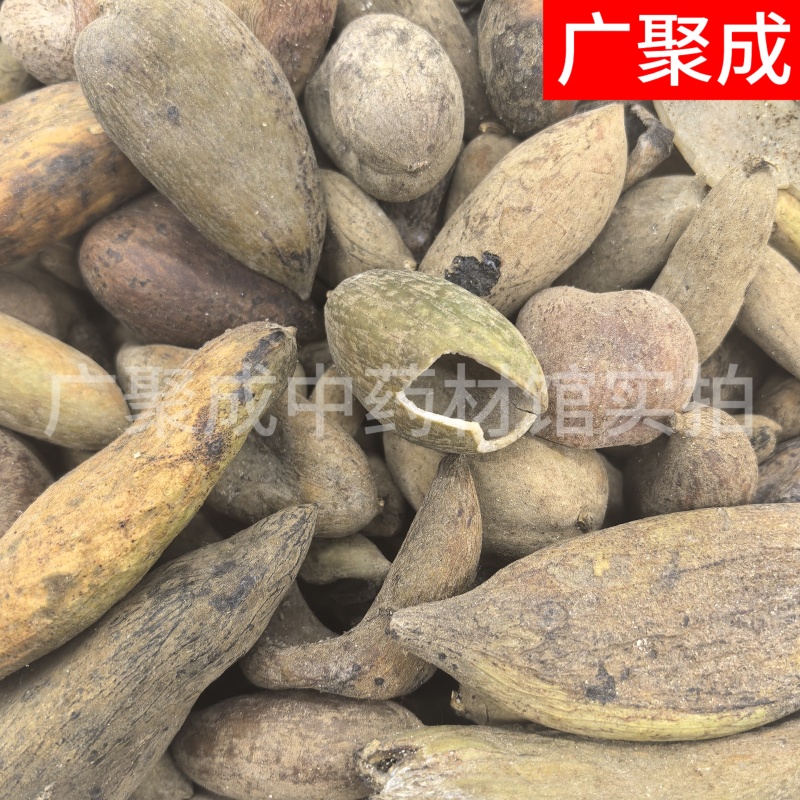 【包邮】五倍子干货独倍角倍菱角倍花倍元宝倍五倍子颗粒