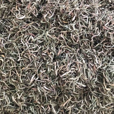 野生金银花，产地秦岭山脉。